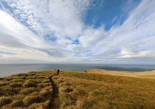 In luftiger Höhe: Paragliding & Zip-line